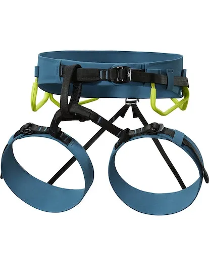 Arc'teryx Men's AR-395A Harness