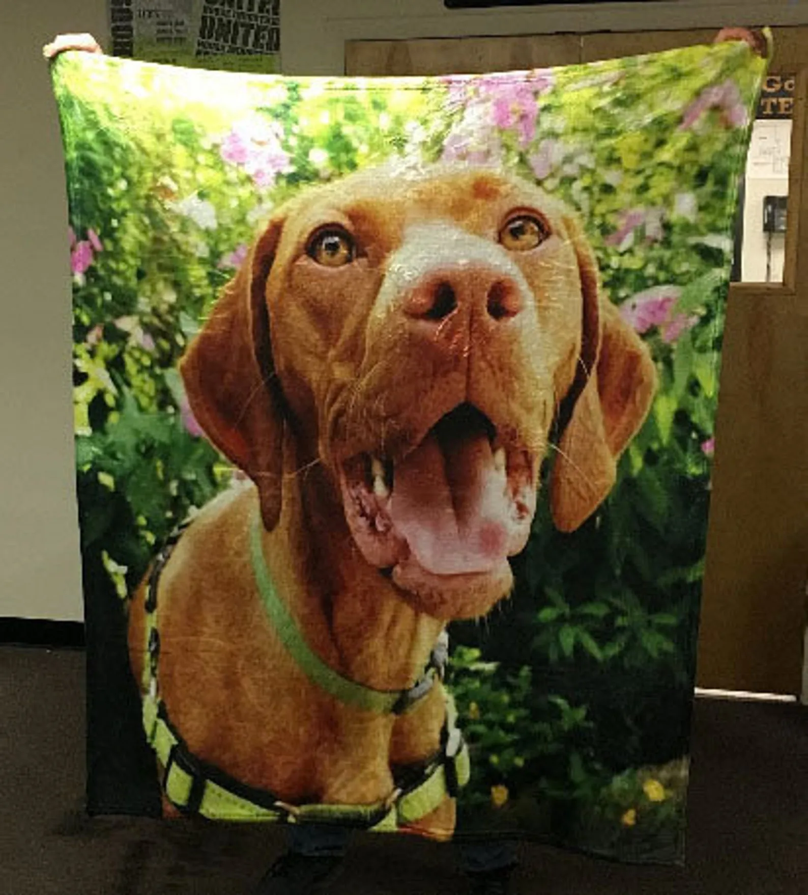 Custom Ultra-Soft Micro Fleece Dog Blanket40"x30"