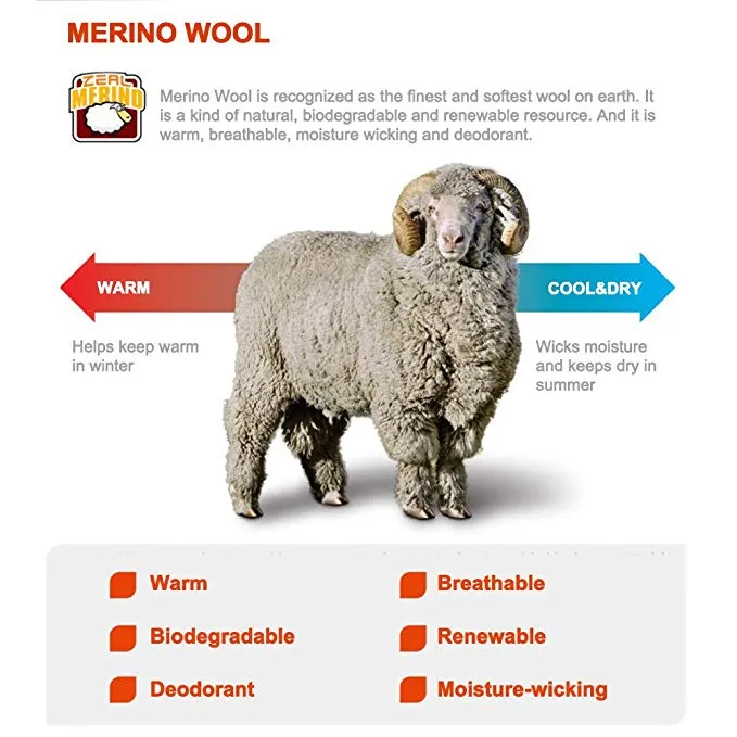LIFESTYLE Merino Wool Invisible Socks