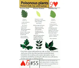 Tip Card #55 Poisonous Plant Identification