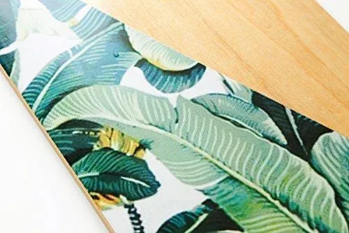 VOLADOR 42inch Freeride Longboard Complete Cruiser (Drop Through Deck - Camber concave)(Banana Tree)